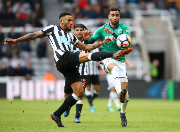 的适应能力 的适应能力